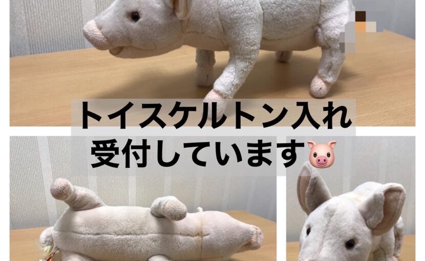 ぬいぐるみに骨組みを入れて手足が動かせるようになります トイスケルトン入れ 有 白友舎 ぬいぐるみに骨組みを入れて手足が動かせるようになります トイスケルトン入れ 有 白友舎
